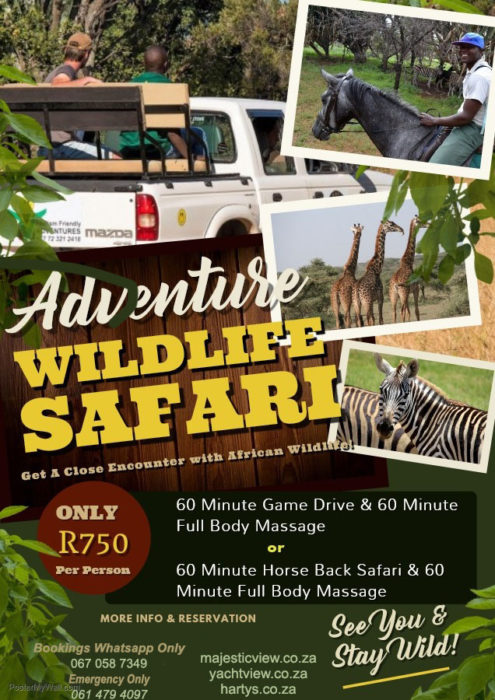 safari tours helderberg